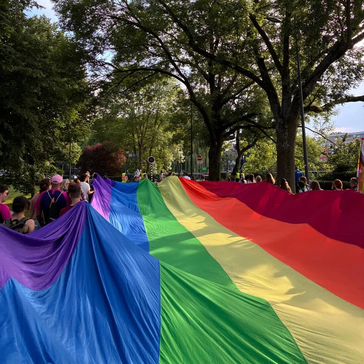 Afbeelding bij: Eerste Bossche Pride Walk trekt honderden deelnemers